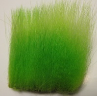 polar bear  lime standart